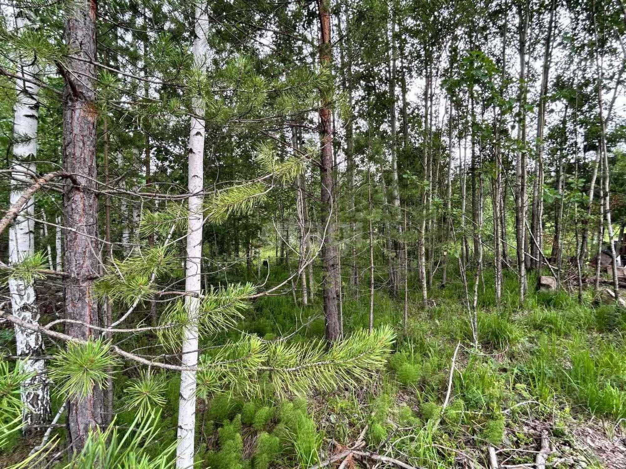 Купить землю, земельный участок за 190 000 рублей на Русь, 24