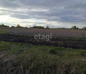 земля 9.1 сот Мирная,
