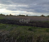 земля 5.3 сот Мирная,