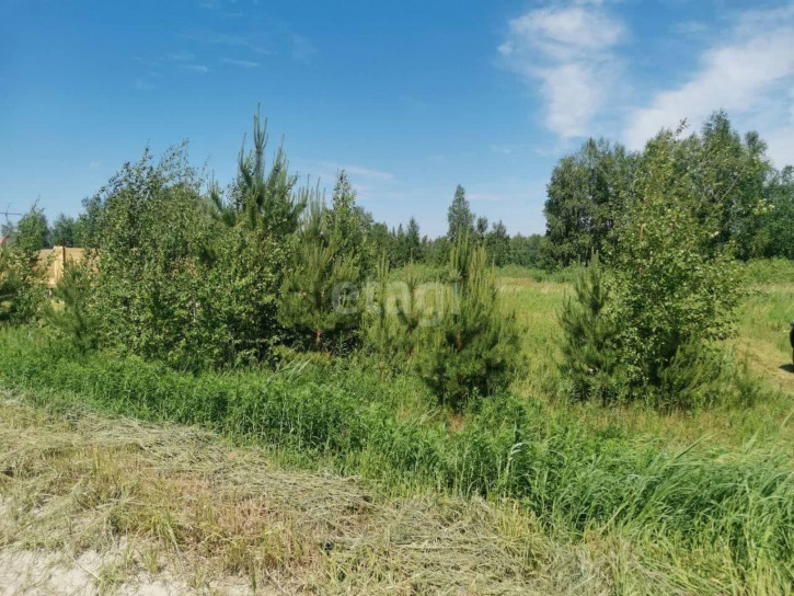 Земельный участок Sun Village (КП Солнечный день) Земельный участок Sun Village (КП Солнечный день)