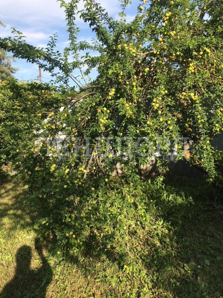 Земельный участок Базарный переулок