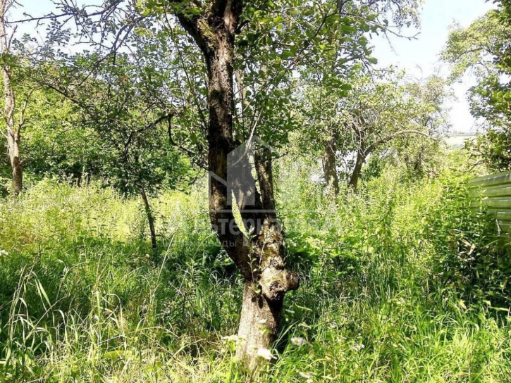 Земельный участок Донская ул.