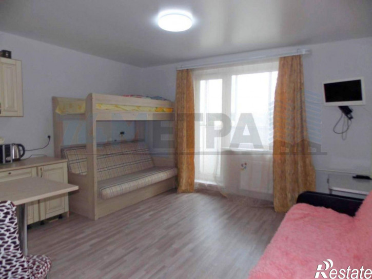 1-комн квартира Петра Сумина ул, 5