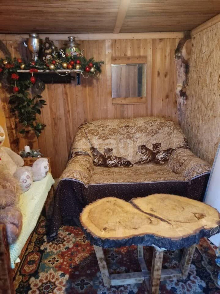 Коттедж/дом Ельничный п Коттедж/дом Ельничный п