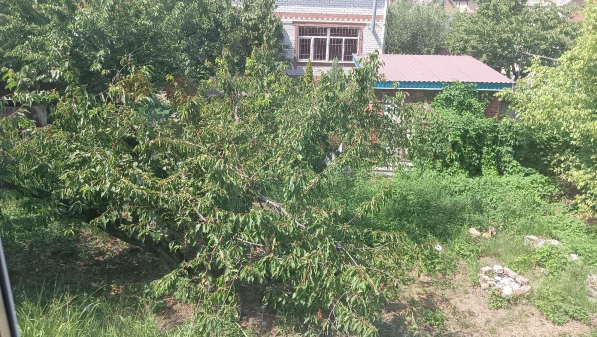 Купить дачу, дом, коттедж за 5 500 000 рублей на Грушевая, 156 Купить дачу, дом, коттедж за 5 500 000 рублей на Грушевая, 156