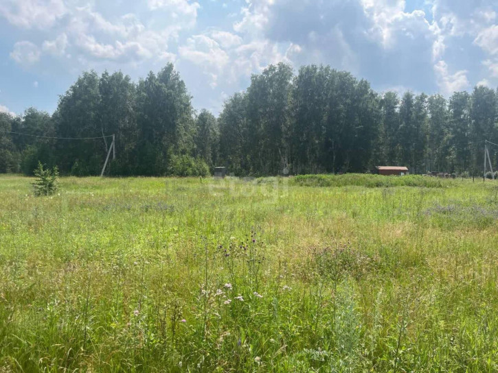 Земельный участок Центральная, Земельный участок Центральная,