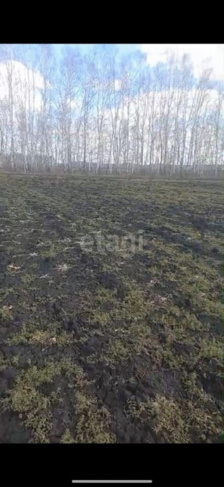 Земельный участок Центральная,