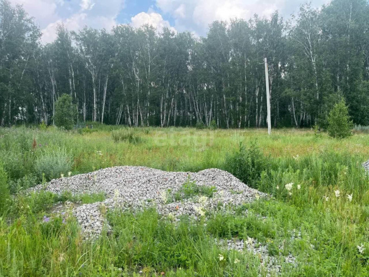 Земельный участок Центральная, Земельный участок Центральная,