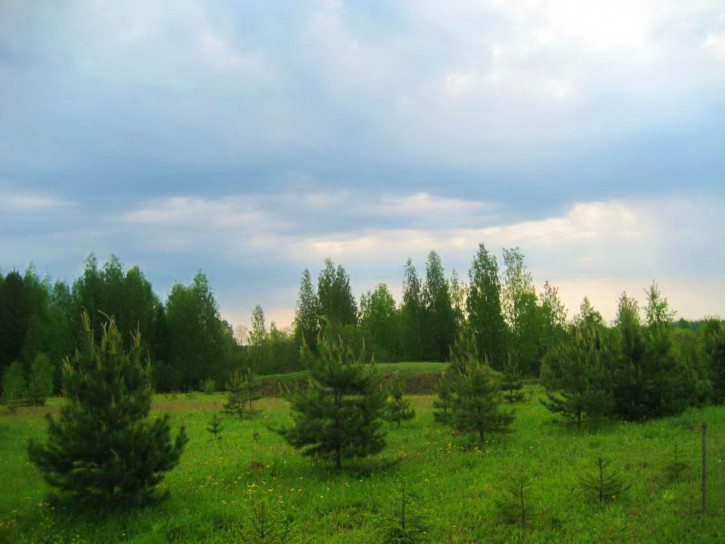 Земельный участок Кучумовщина