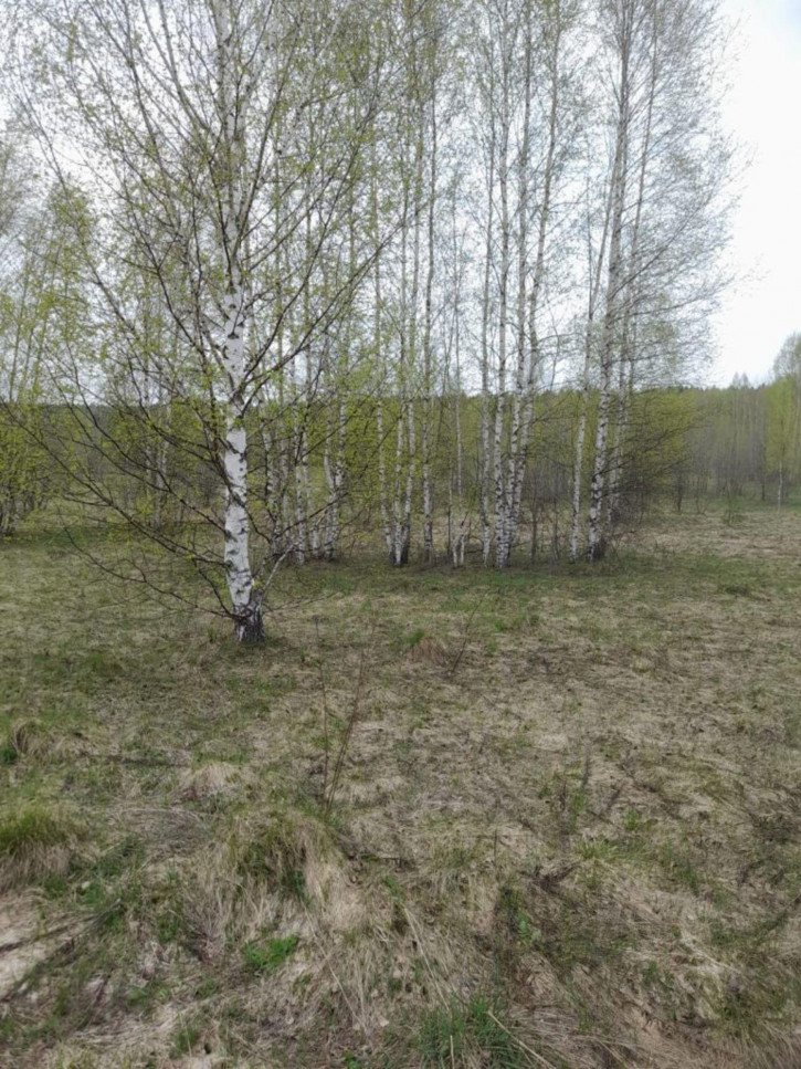 Земельный участок Титовское д