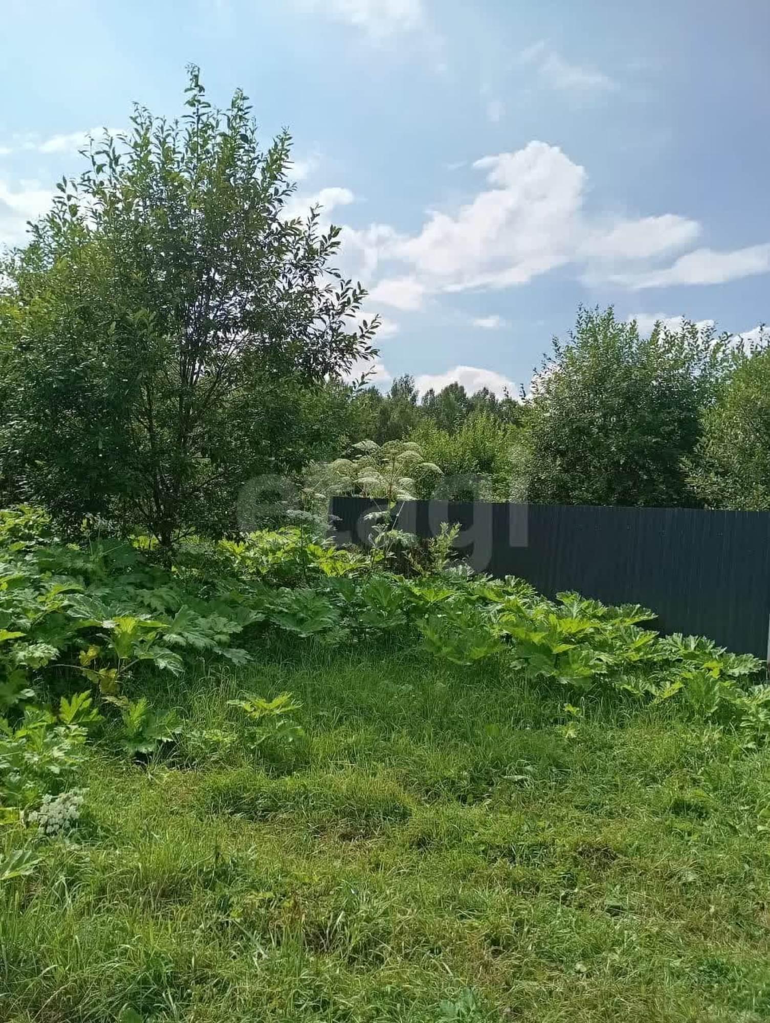 Купить землю, земельный участок за 150 000 рублей на деревня Коренево, 557