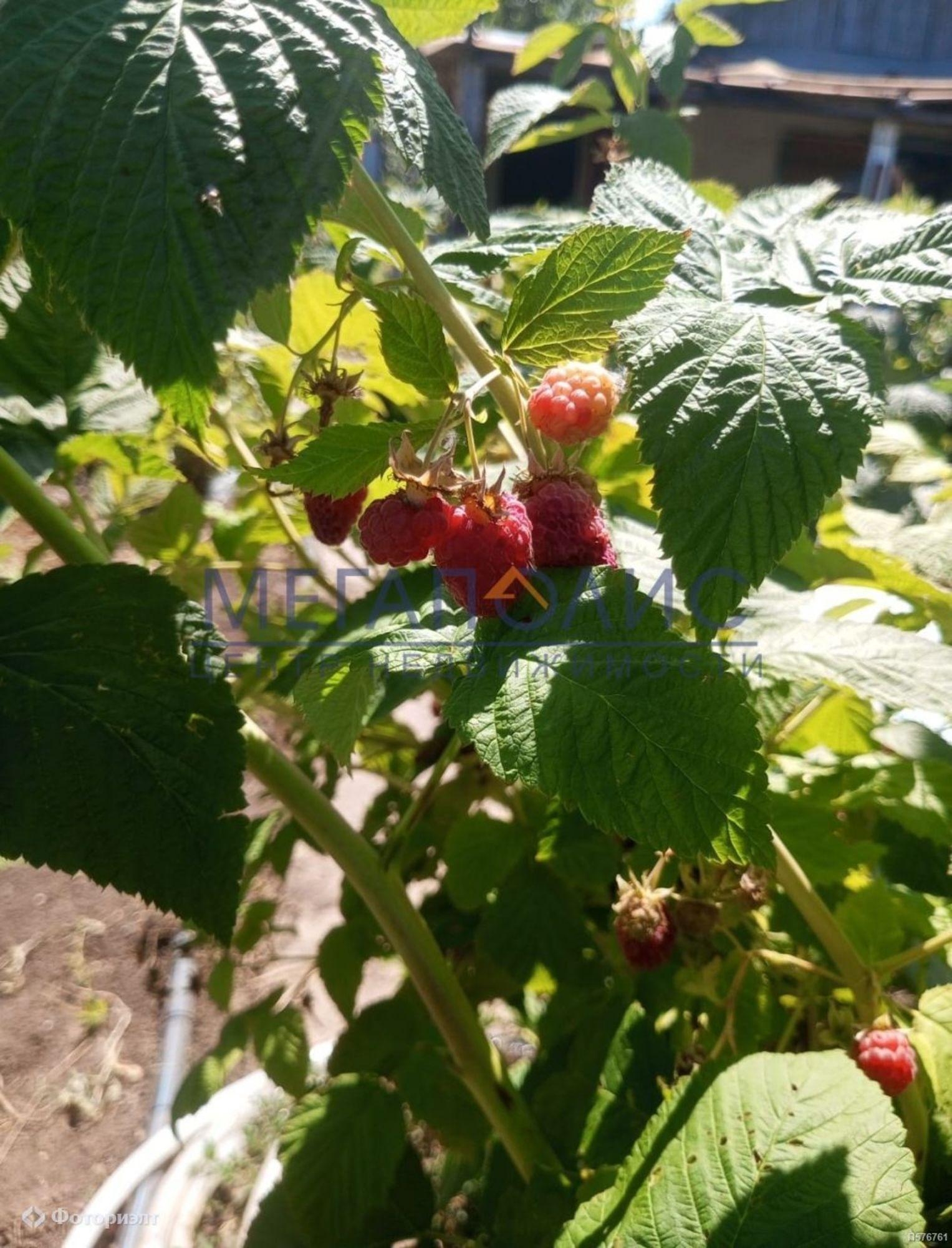 Купить дачу, дом, коттедж за 250 000 рублей на СТ Автомобилист тер