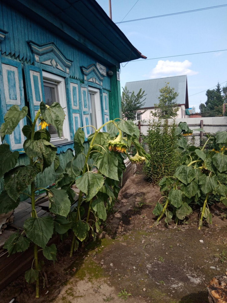 Коттедж/дом Фрунзе Коттедж/дом Фрунзе