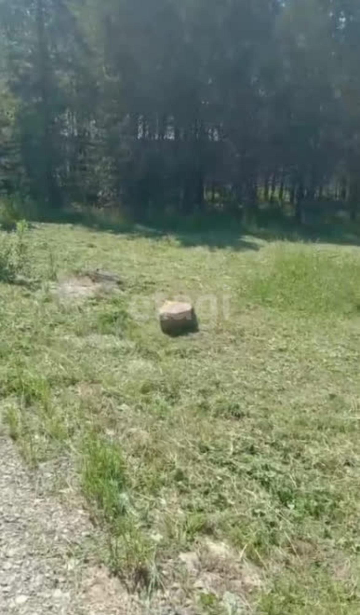 Купить дачу, дом, коттедж за 1 580 000 рублей на ДНТ Чистые Ключи, 28