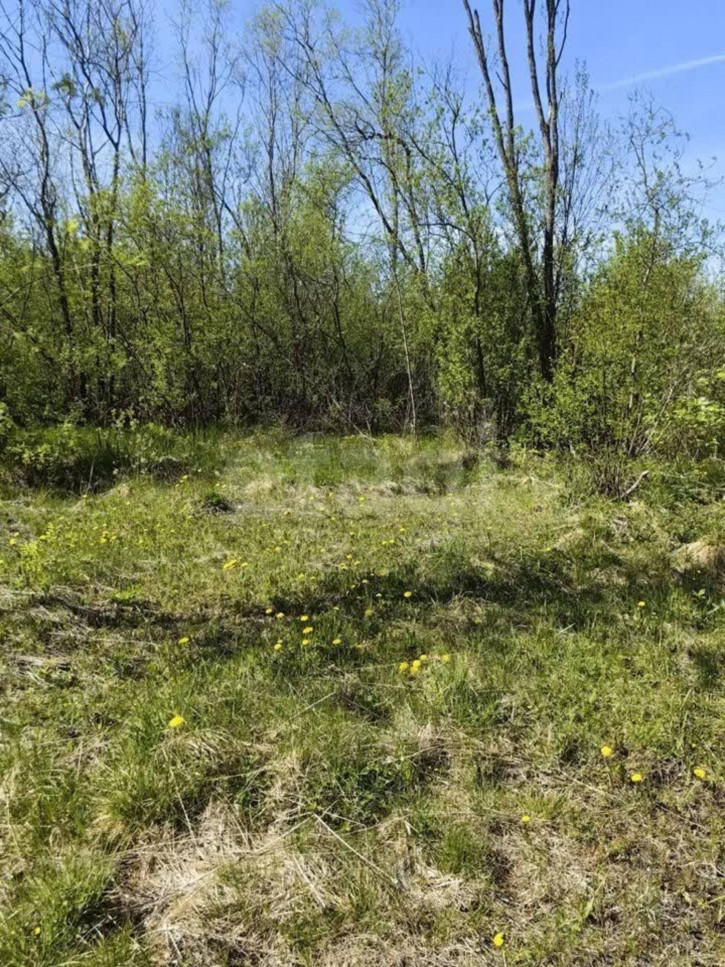 Земельный участок Граничная улица,