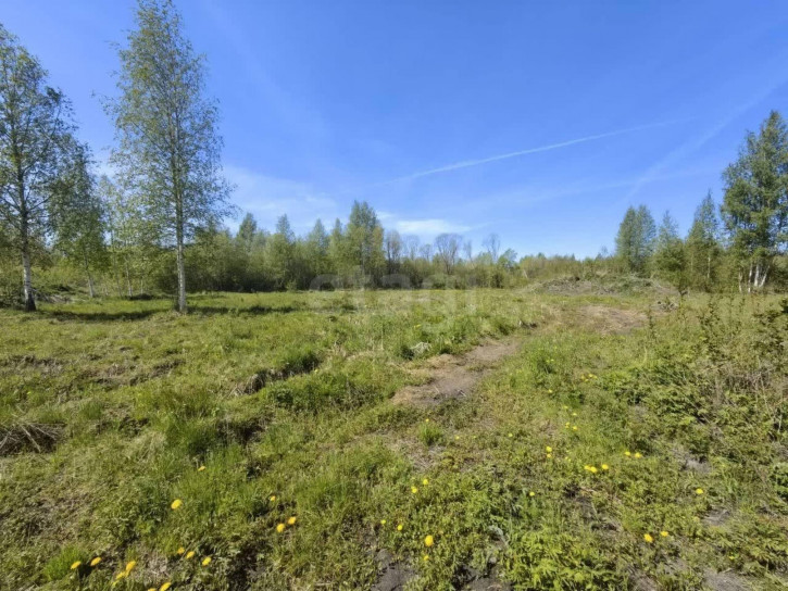 Земельный участок Граничная улица,