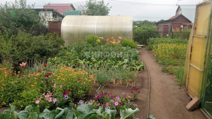 Коттедж/дом Новосибирск