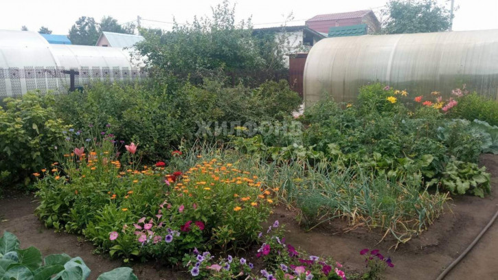 Коттедж/дом Новосибирск