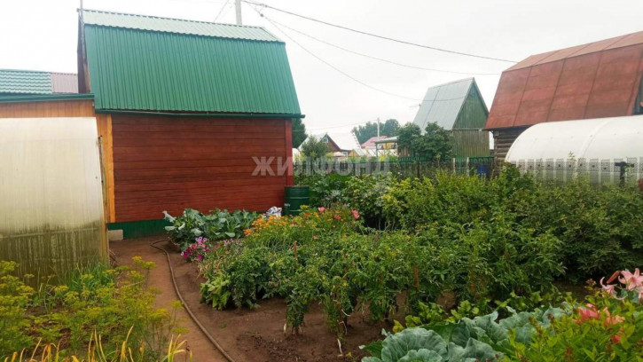 Коттедж/дом Новосибирск