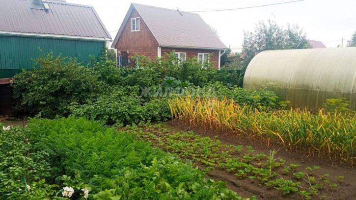 Коттедж/дом Новосибирск