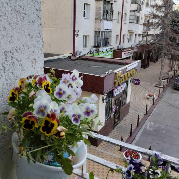 Студия Крымская улица, 218