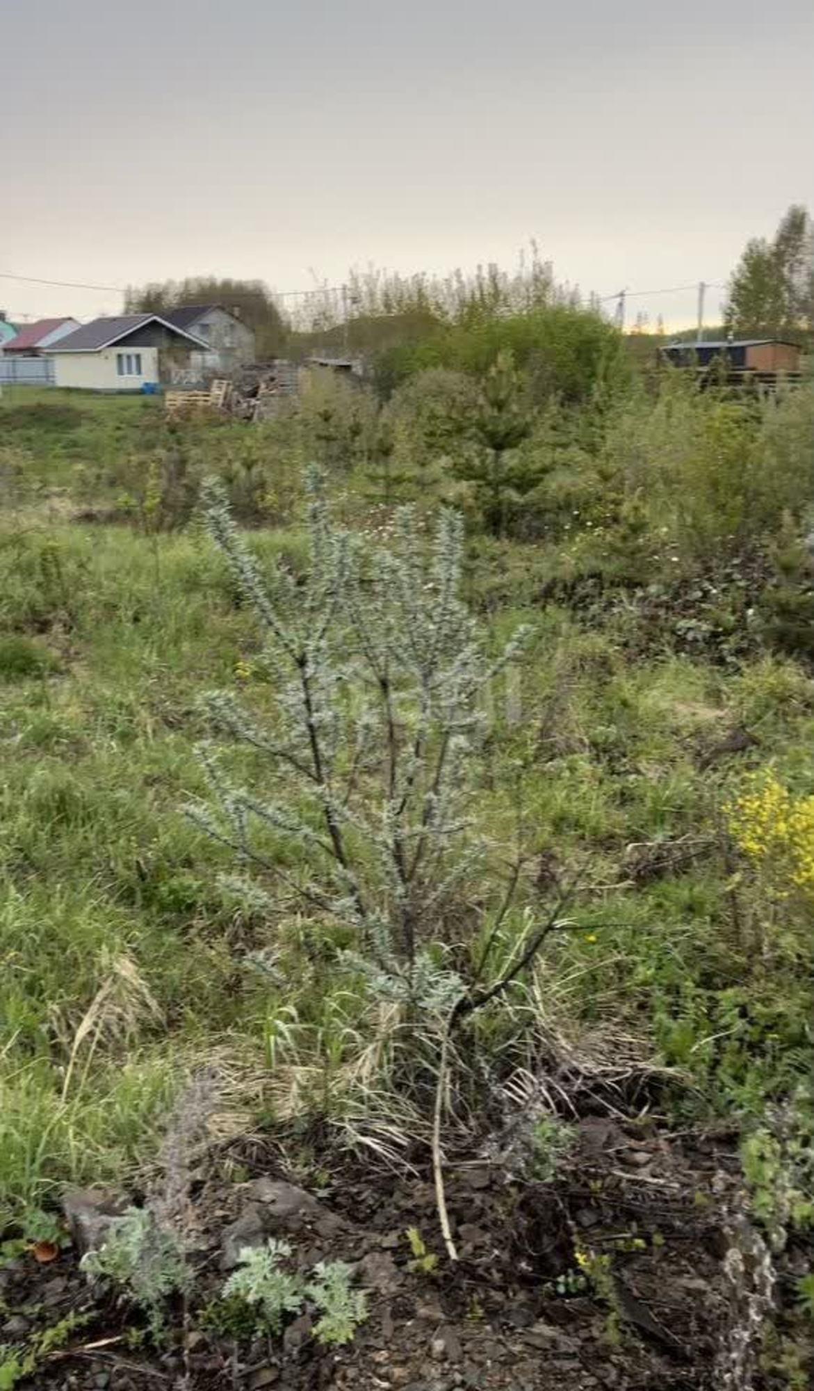Купить землю, земельный участок за 1 500 000 рублей на КП Загородный квартал,Дружбы 639