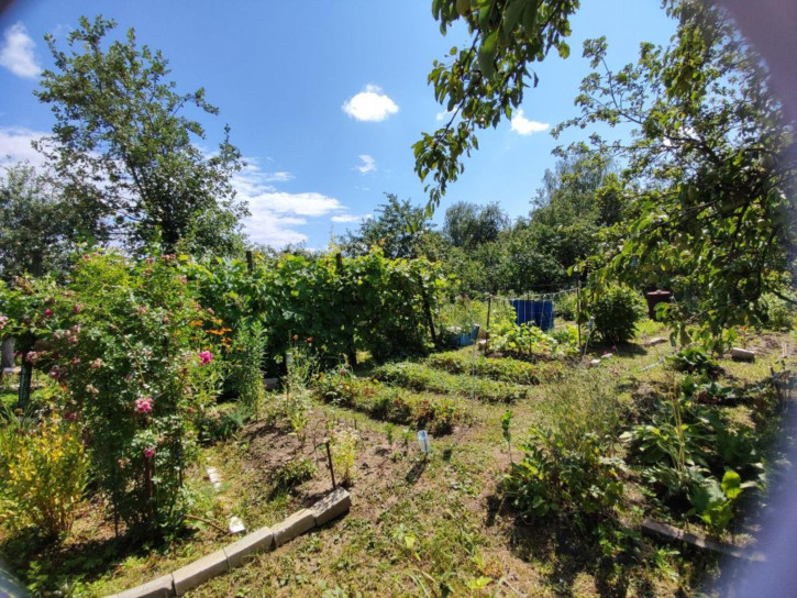 Земельный участок СТ Дубрава, 100