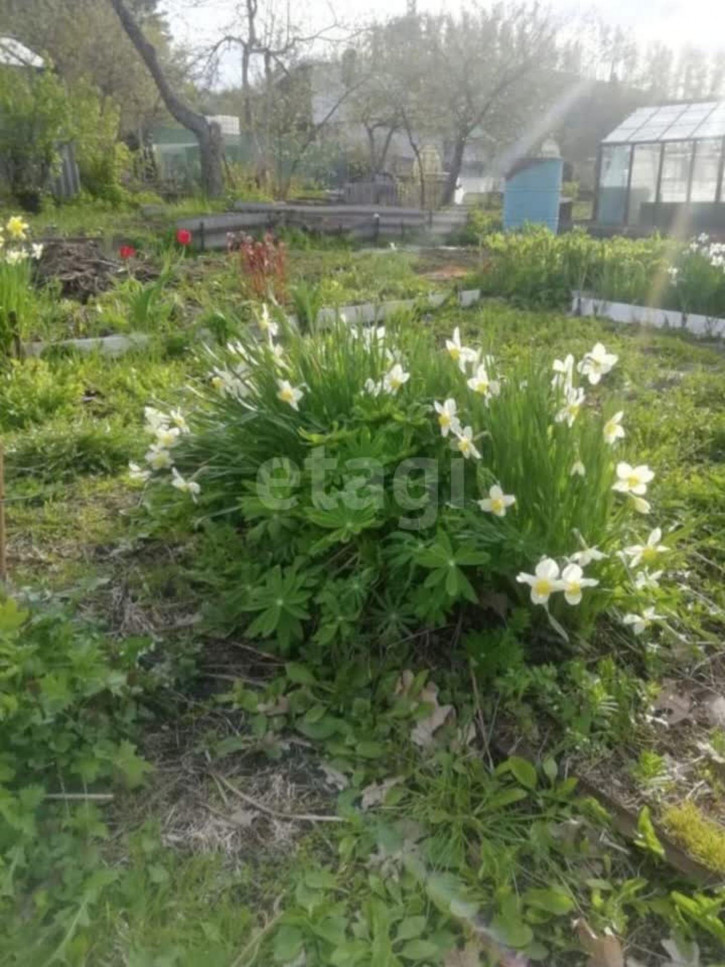 Коттедж/дом Миасс Коттедж/дом Миасс