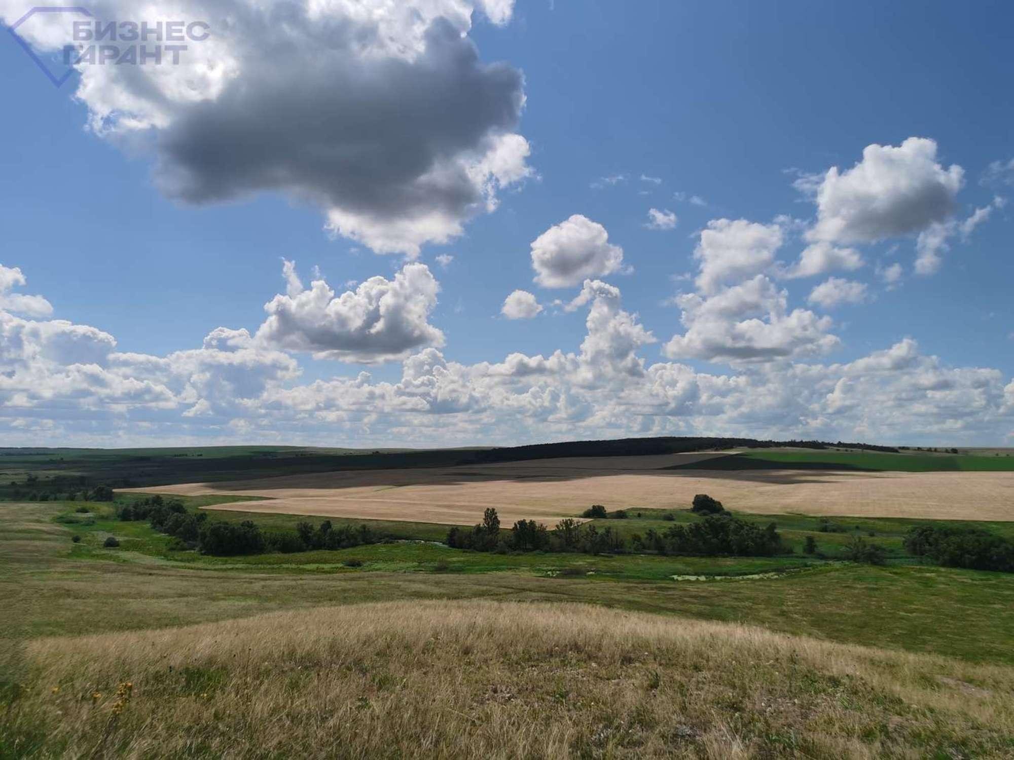 Купить землю, земельный участок за 30 000 000 рублей на Никитинка село