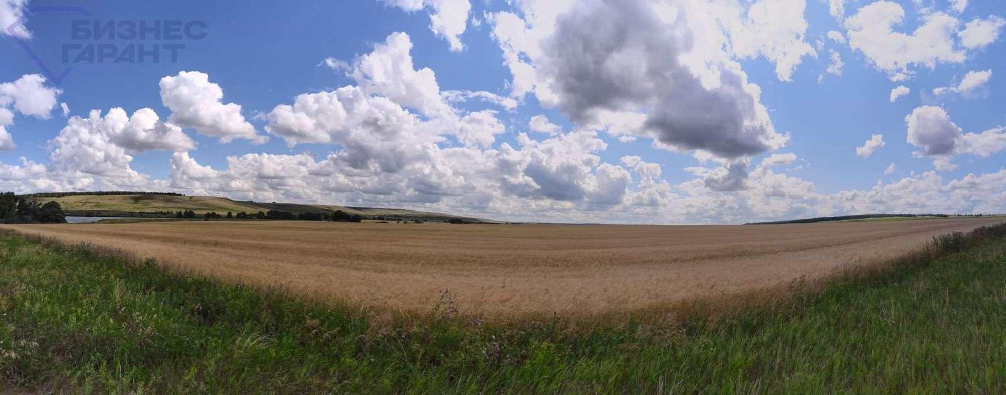 Купить землю, земельный участок за 30 000 000 рублей на Никитинка село