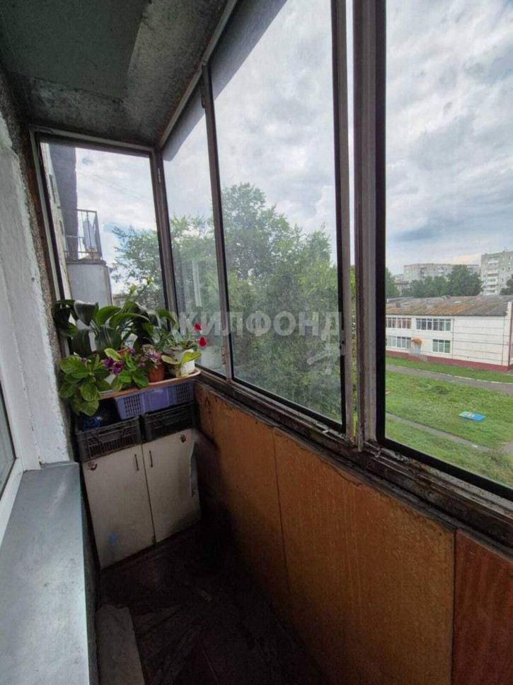1-комн квартира Тореза улица, д.115
