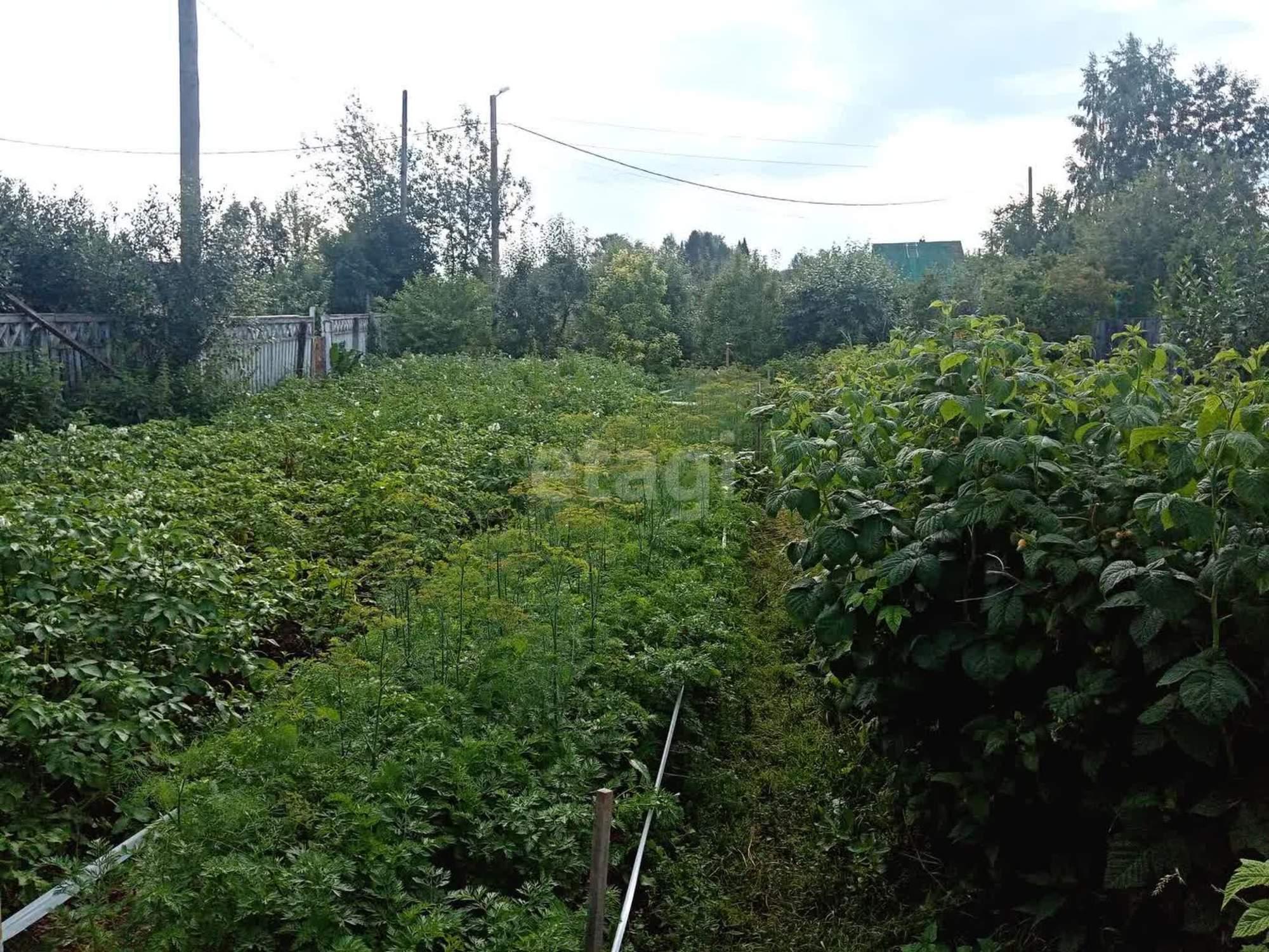 Купить дачу, дом, коттедж за 6 500 000 рублей на Мурзинка,Трактовая 24
