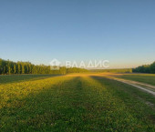 земля 100 сот 