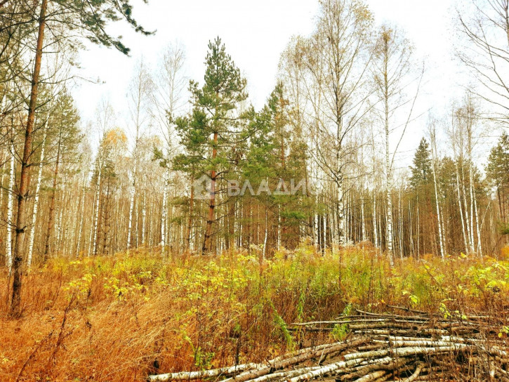 Земельный участок 17Н-291