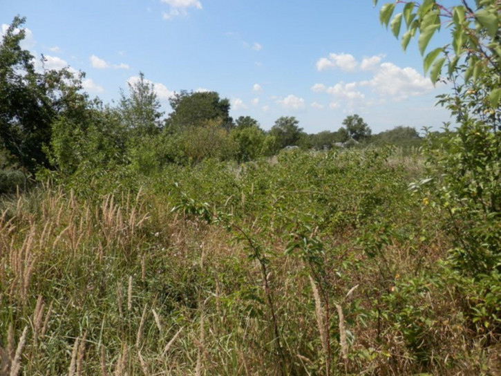 Земельный участок станица Гостагаевская