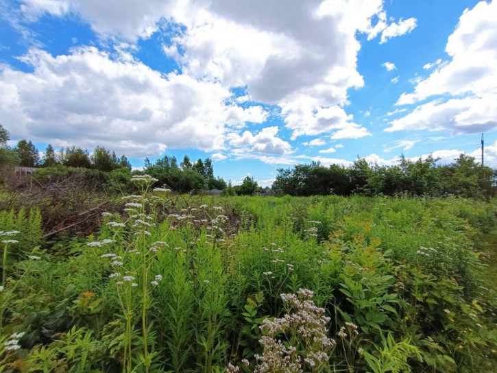 Земельный участок СНТ Светлана, 124
