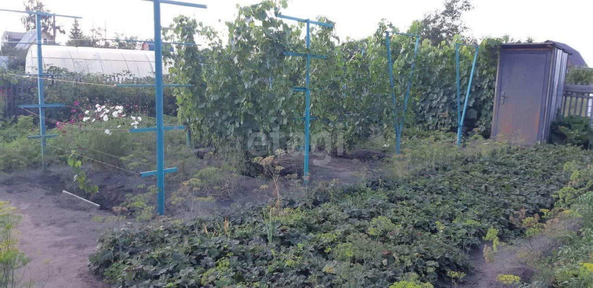 Купить землю, земельный участок за 1 500 000 рублей на Звёздочка СНТ