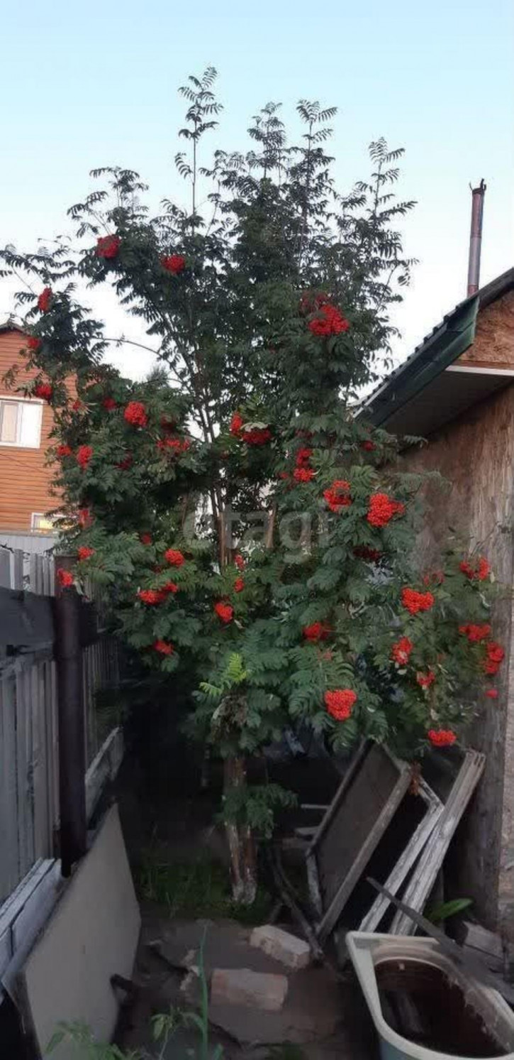 Земельный участок Звёздочка СНТ
