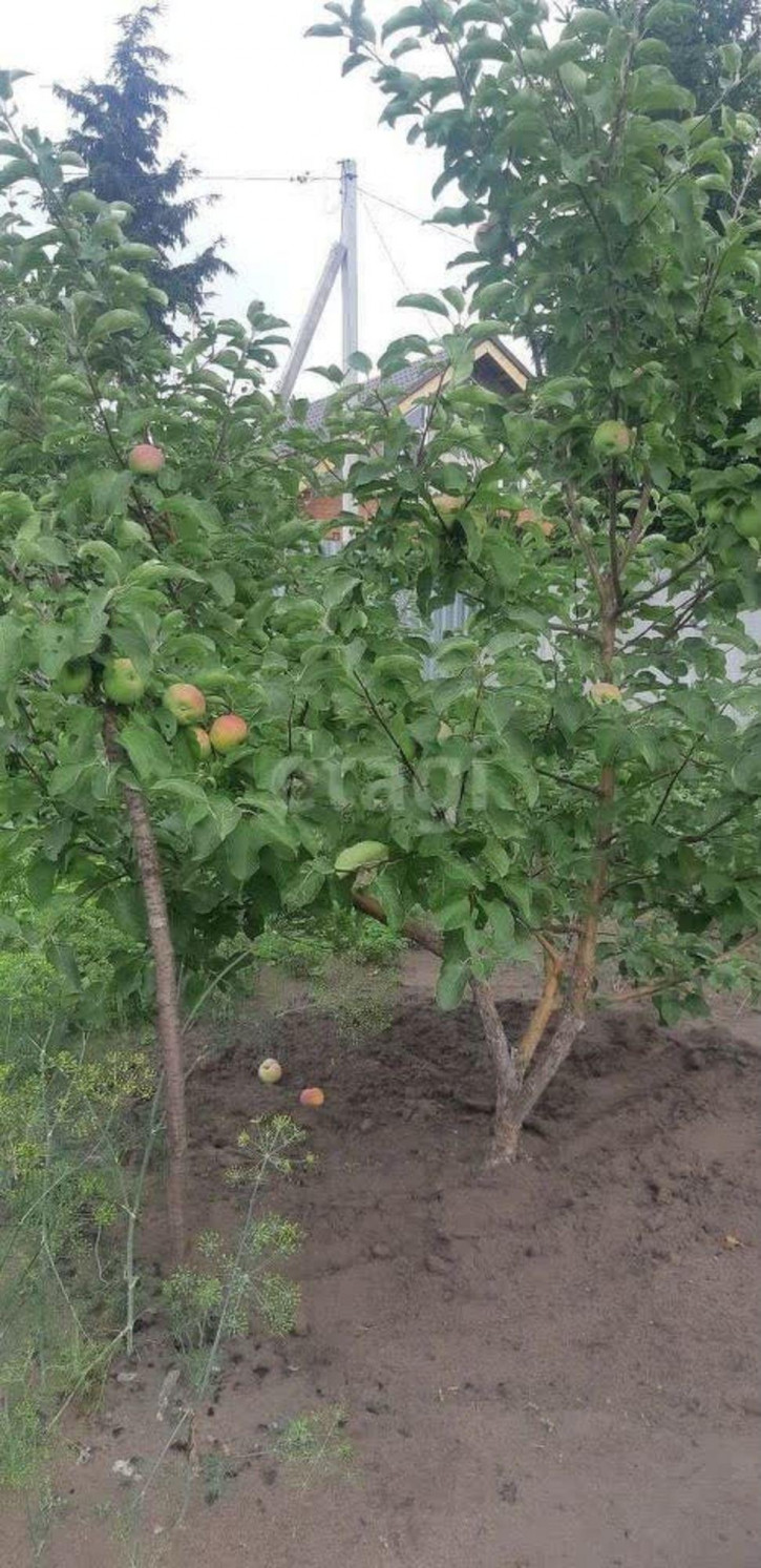 Земельный участок Звёздочка СНТ