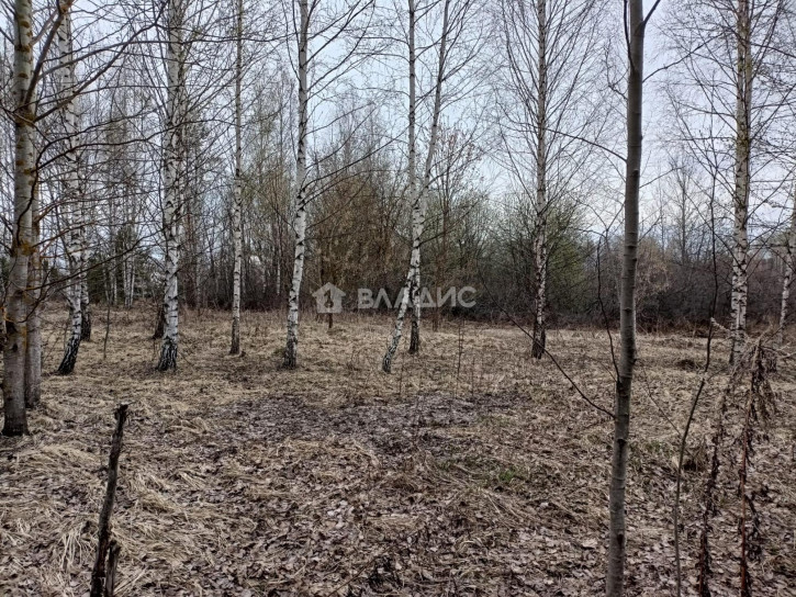 Земельный участок