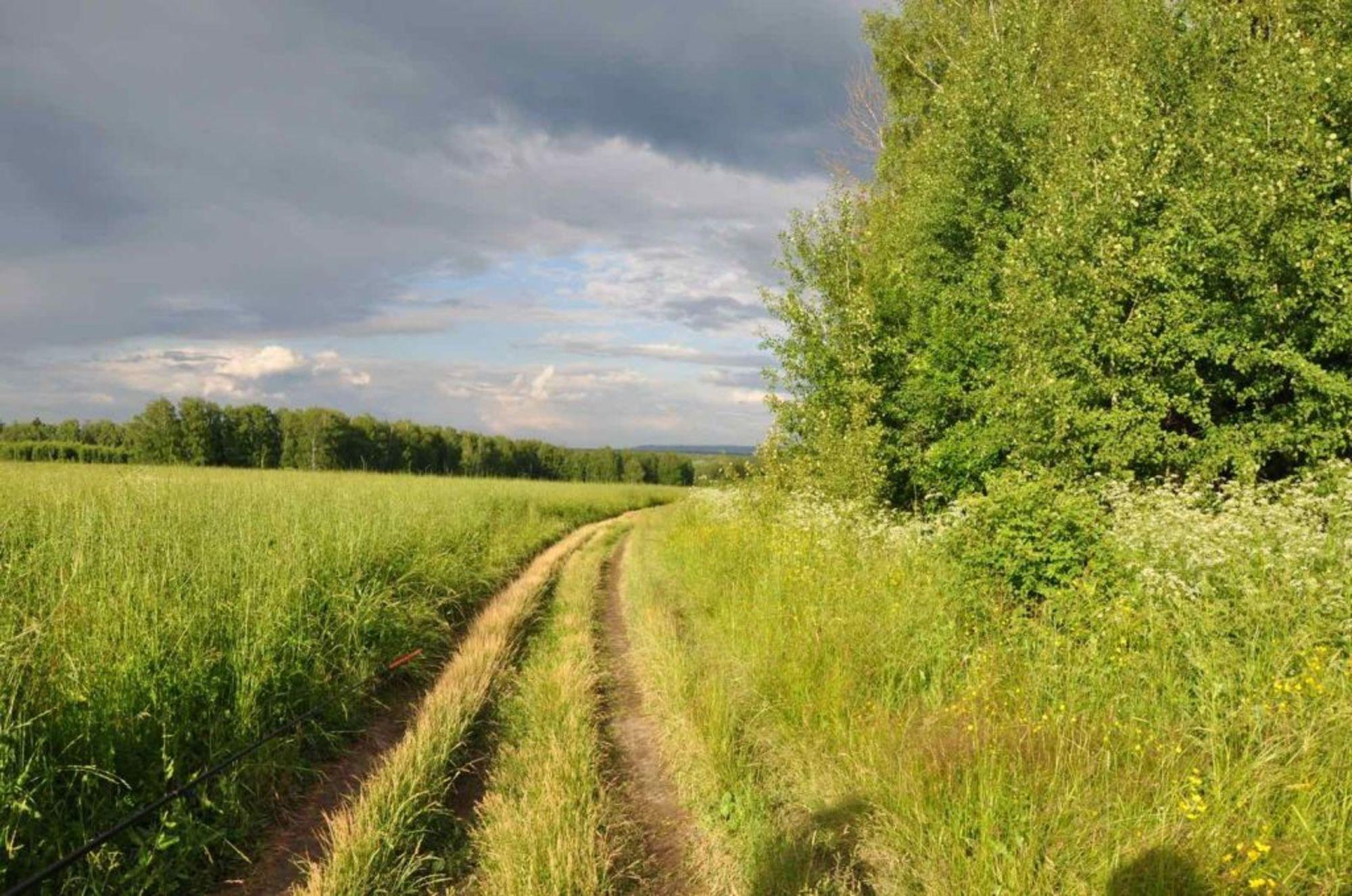 Купить дачу, дом, коттедж за 700 000 рублей на , 29