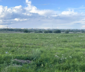 земля 10 сот Луговая Слобода д