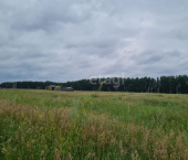 земля 11.7 сот Усть-Заостровка село