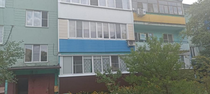 1-комн квартира Новая Усмань