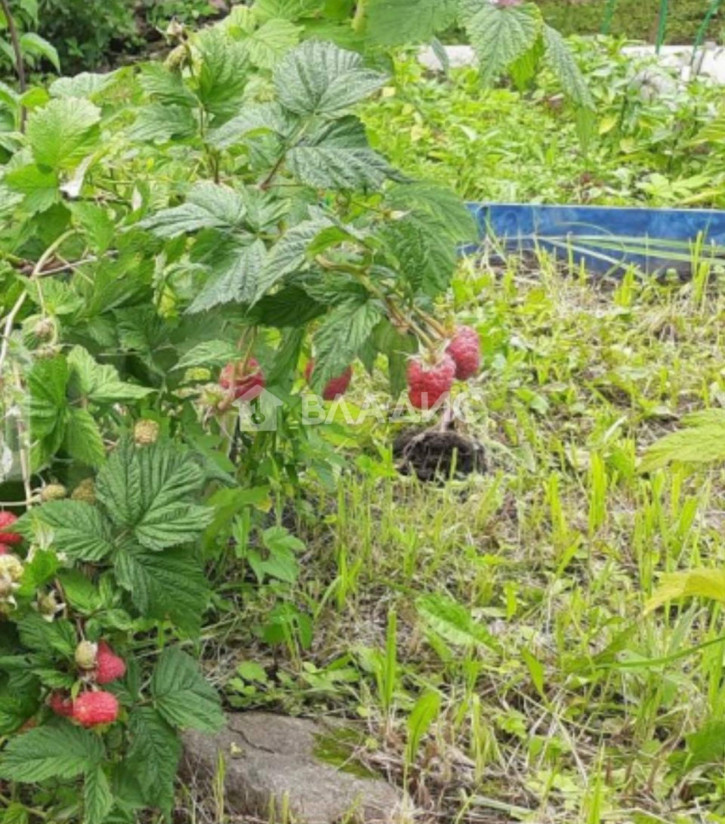 Коттедж/дом Фрунзенский район