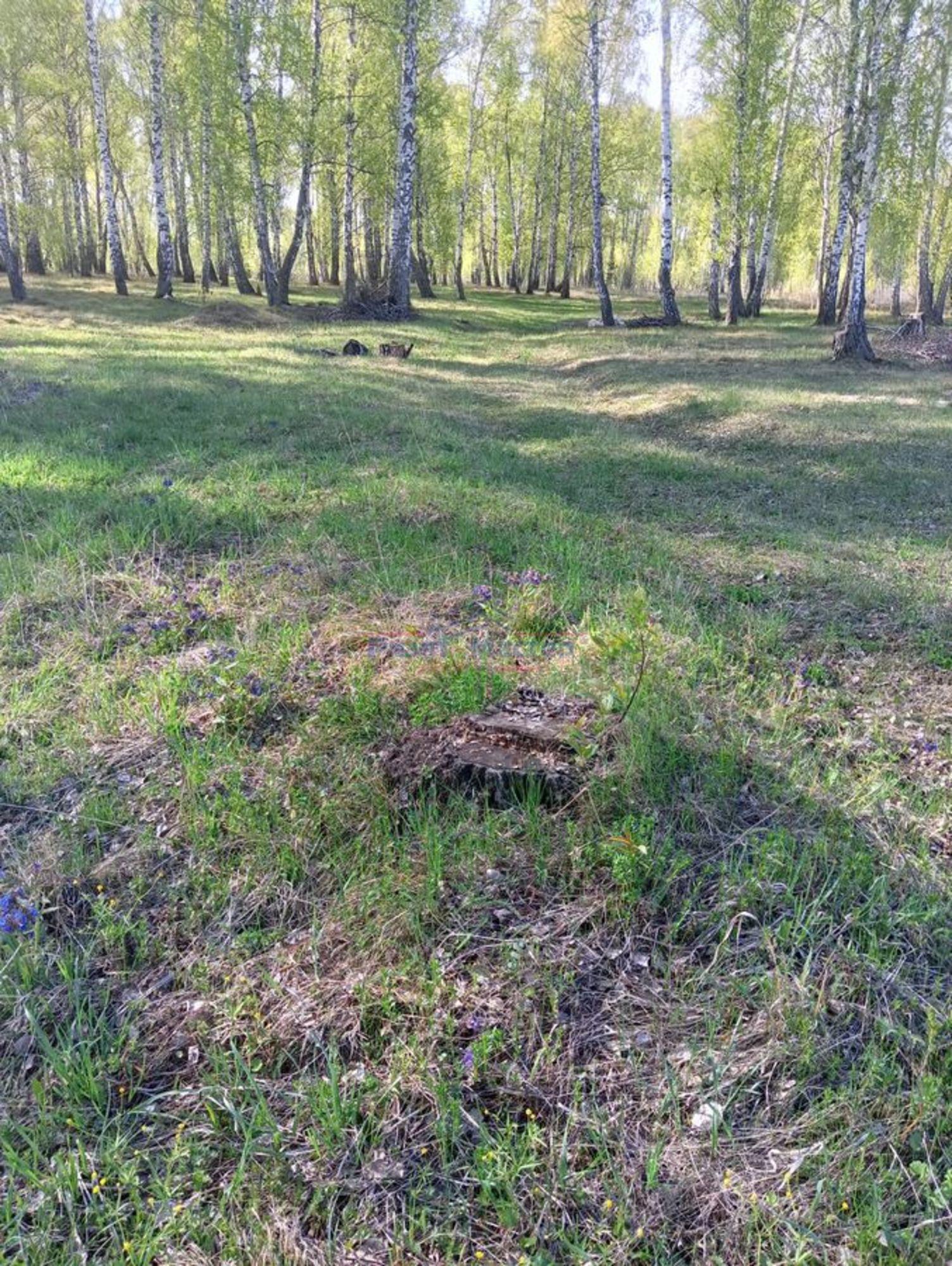 Купить землю, земельный участок за 500 000 рублей на Центральная