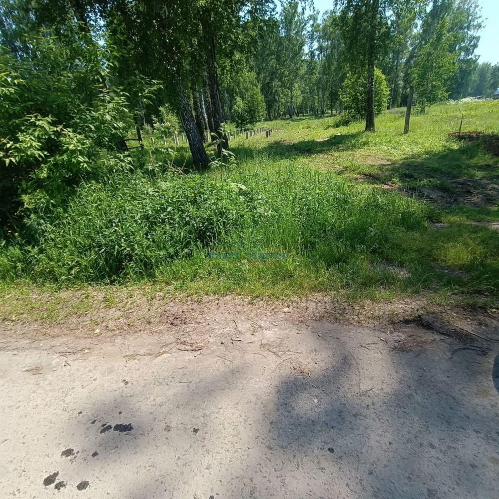 Купить землю, земельный участок за 500 000 рублей на Центральная