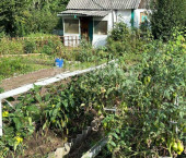 коттедж 20 кв м Бердск коттедж 20 кв м Бердск