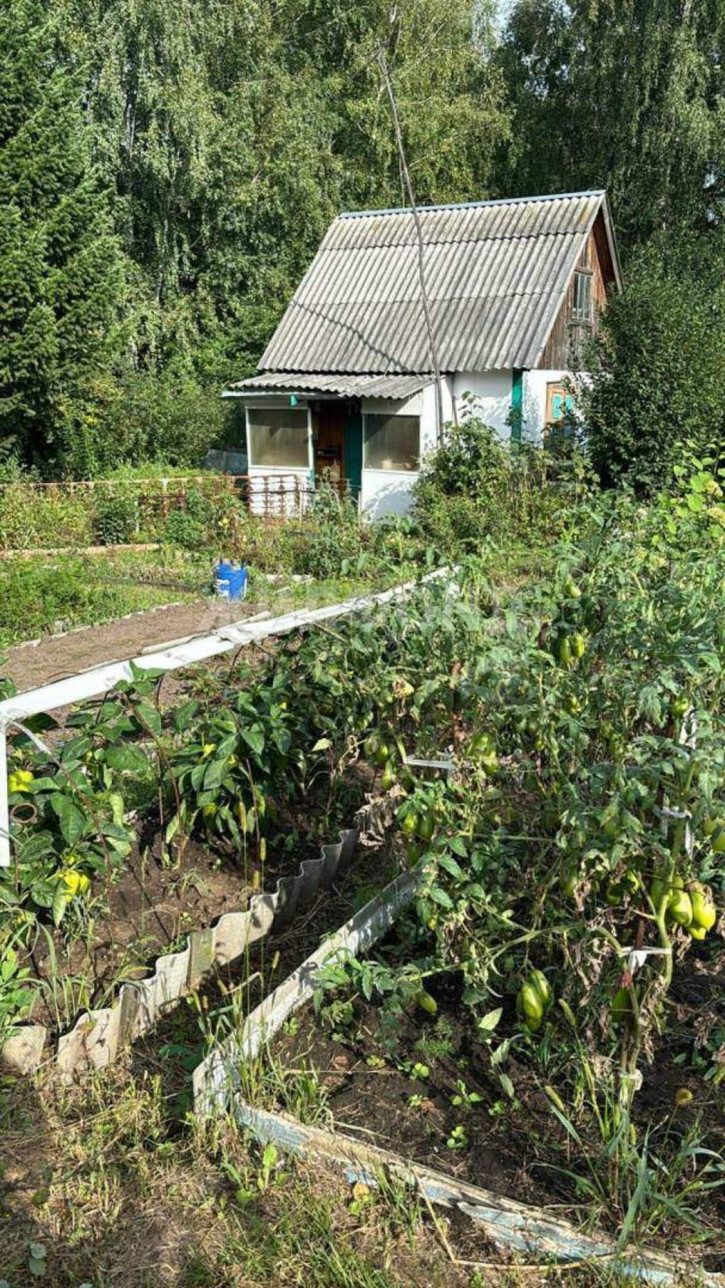 Коттедж/дом Бердск Коттедж/дом Бердск