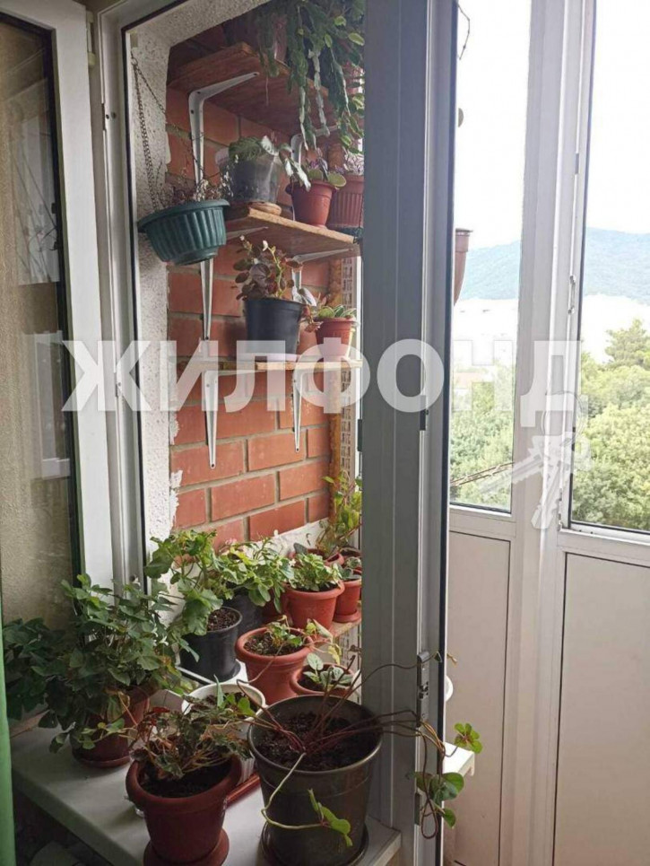 Комната Маяковского улица, д.2